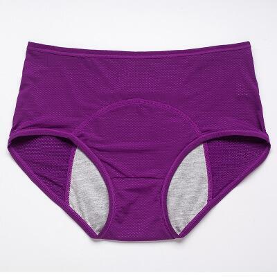 2024 New Upgrade High Waist Leak Proof Pantiesâ¨