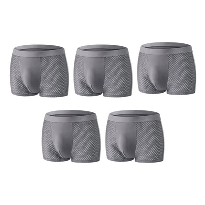 【Buy 3 Get 2 Free】-2026 HOT SALE🔥 Premium Leakproof lceSilk Mesh Men's Boxer