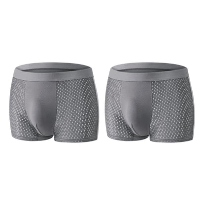 【Buy 3 Get 2 Free】-2026 HOT SALE🔥 Premium Leakproof lceSilk Mesh Men's Boxer